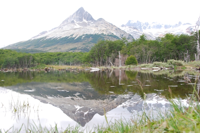 ushuaia Reflex
